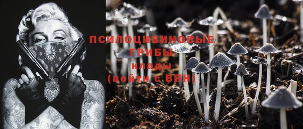 mdpv Беломорск