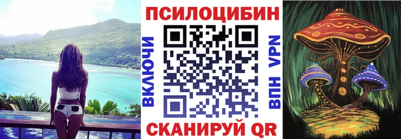 Галлюциногенные грибы Psilocybe  Навашино 